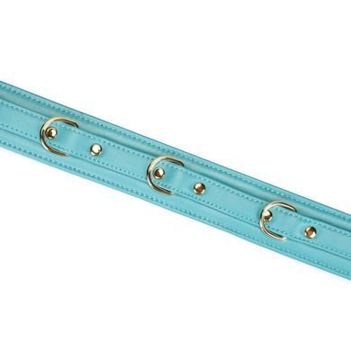 Нашийник з повідцем Liebe Seele Blue Lamb Leather Collar with Velvet Lining SX4843 фото