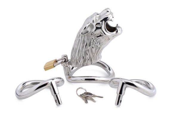 Клітка для пеніса Master Series: Tiger King Cock Cage With Lock, три кільця, замок, три ключі SO8795 фото