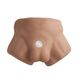 Півторс з фалоімітатором на присосці SilexD Apollo S Male Torso Caramel SX0813 фото 2