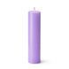 Свічка для WaxPlay Feral Feelings soft 15 см Light Purple SX5174 фото 1
