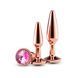 Набір анальних пробок NS Novelties Rear Assets - Tapered Trainer Kit - Rose Gold - Pink SX4385 фото 1