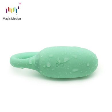 Смарт-тренажер Кегеля Magic Motion Kegel Rejuve, бюджетний варіант, для тренувань і задоволення SO3114 фото