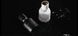 Парфуми с феромонами PheroStrong Pheromone Elixir для мужчин, 50 мл PS51413 фото 5