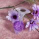 Анальна пробка Liebe Seele Heart-shaped Crystal Anal Plug - Purple Medium SX4857 фото 4