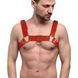 Чоловіча портупея на груди Feral Feelings - Bulldog Harness Red SO9307 фото 1