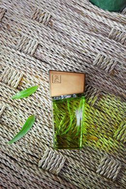 Парфуми із феромонами жіночі SHIATSU Pheromone Fragrance women lime, 50 мл HOT67135 фото