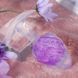 Анальна пробка Liebe Seele Icecream-shaped Crystal Anal Plug - Purple Medium SX4859 фото 4