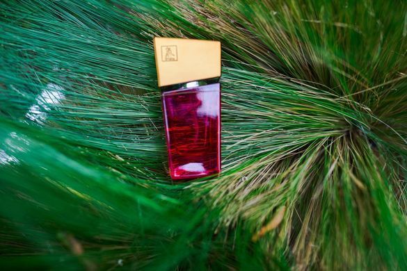Духи з феромонами жіночі SHIATSU Pheromone Fragrance women red, 15 мл HOT67144 фото