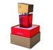 Духи з феромонами жіночі SHIATSU Pheromone Fragrance women red, 15 мл HOT67144 фото 1