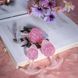 Анальна пробка Liebe Seele Icecream-shaped Crystal Anal Plug - Pink Medium SX4867 фото 4