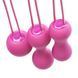 Набір вагінальних кульок Je Joue - Ami Fuchsia, діаметр 3,8-3,3-2,7см, вага 54-71-100гр + подарунок косметичка SO3044 фото 1