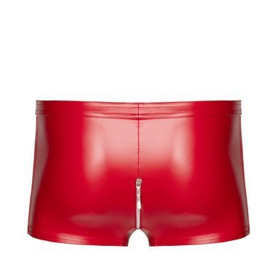 Чоловічі шорти Noir Handmade H097 Ignite shorts M SX4218 фото