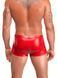 Чоловічі шорти Noir Handmade H097 Ignite shorts M SX4218 фото 2