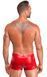 Чоловічі шорти Noir Handmade H097 Ignite shorts L SX4219 фото 4